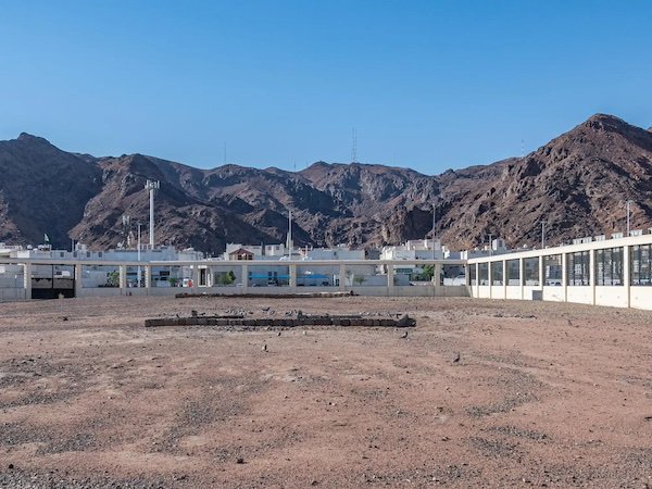 فعالية ثقافية عند جبل أحد