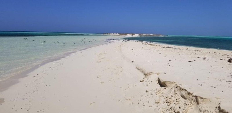 غزوة الخبط أو سيف البحر